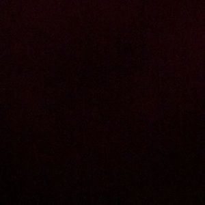 Meet your Posher, Isabella